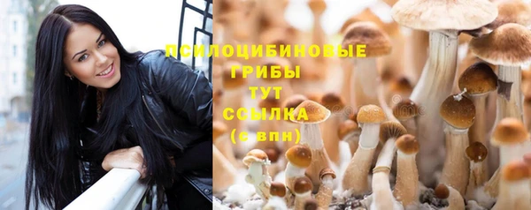 мяу мяу кристалл Липки