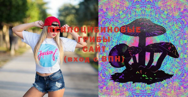 марки lsd Ачинск