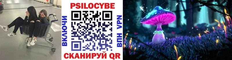 Псилоцибиновые грибы MAGIC MUSHROOMS  где можно купить   Емва 